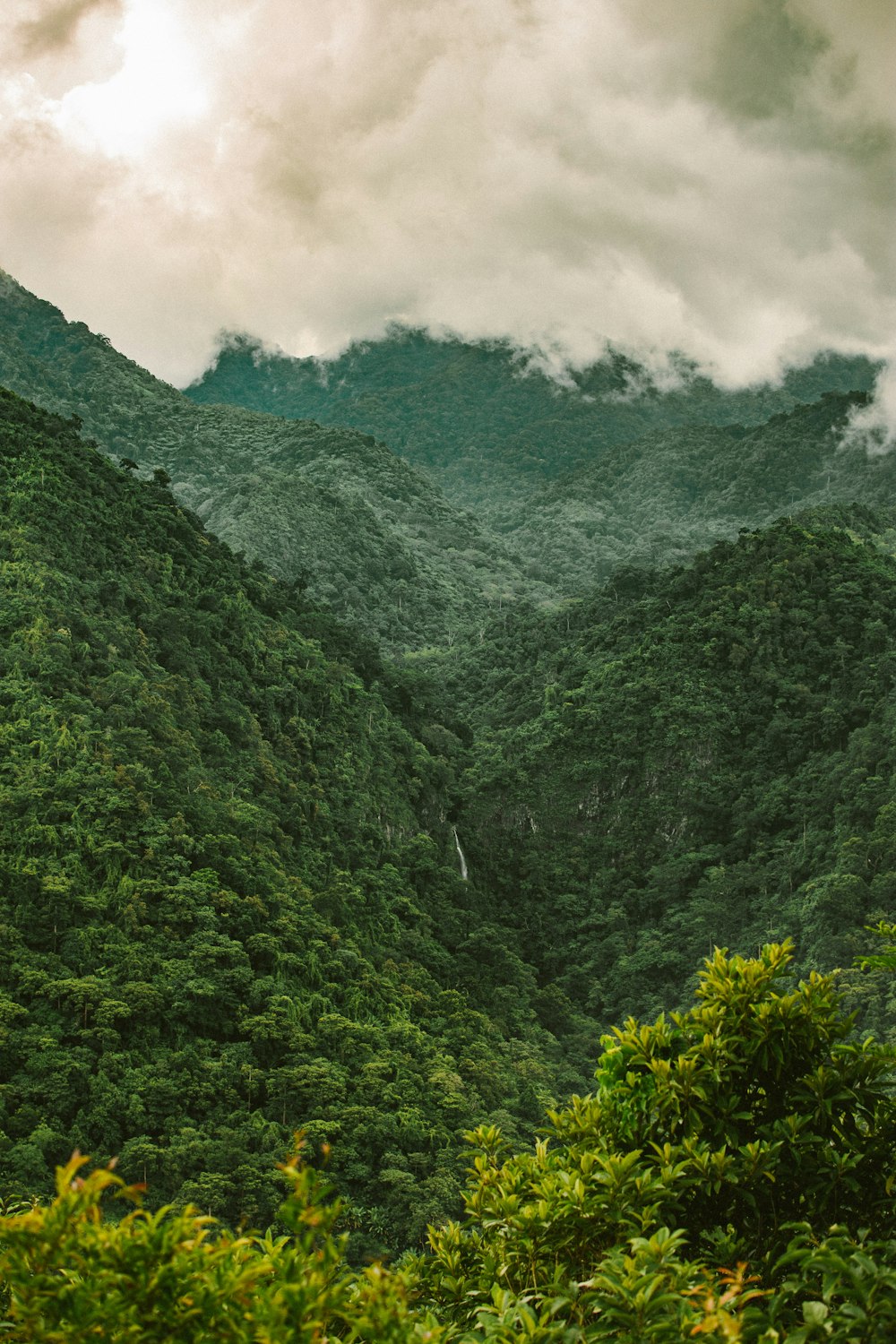 green trees on mountain under cloudy sky during daytime