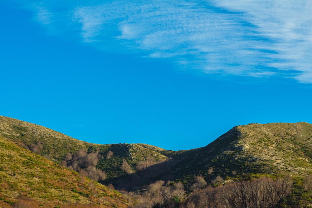 Montaña cubierta de hierba verde bajo el cielo azul durante el día