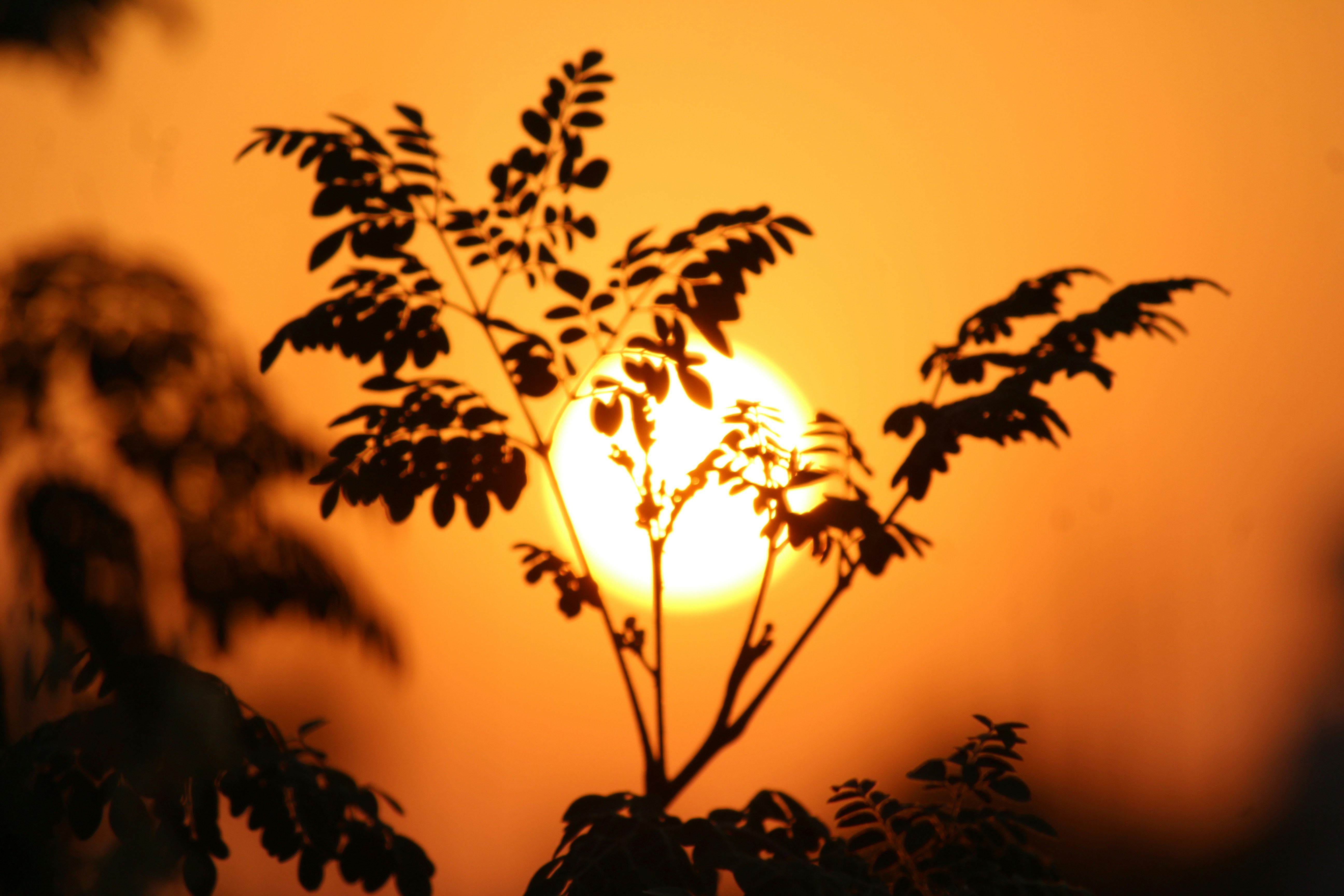 Sunset Today: Heartfelt Wishes to Share With Friends & Family