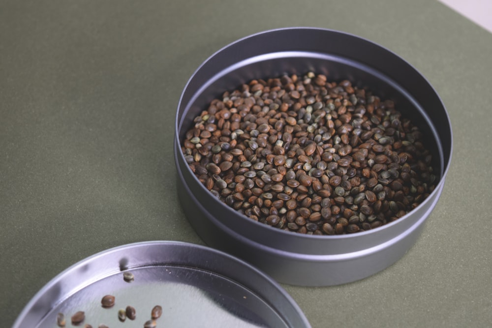 haricots bruns et noirs dans un bol rond en acier inoxydable pour animaux de compagnie
