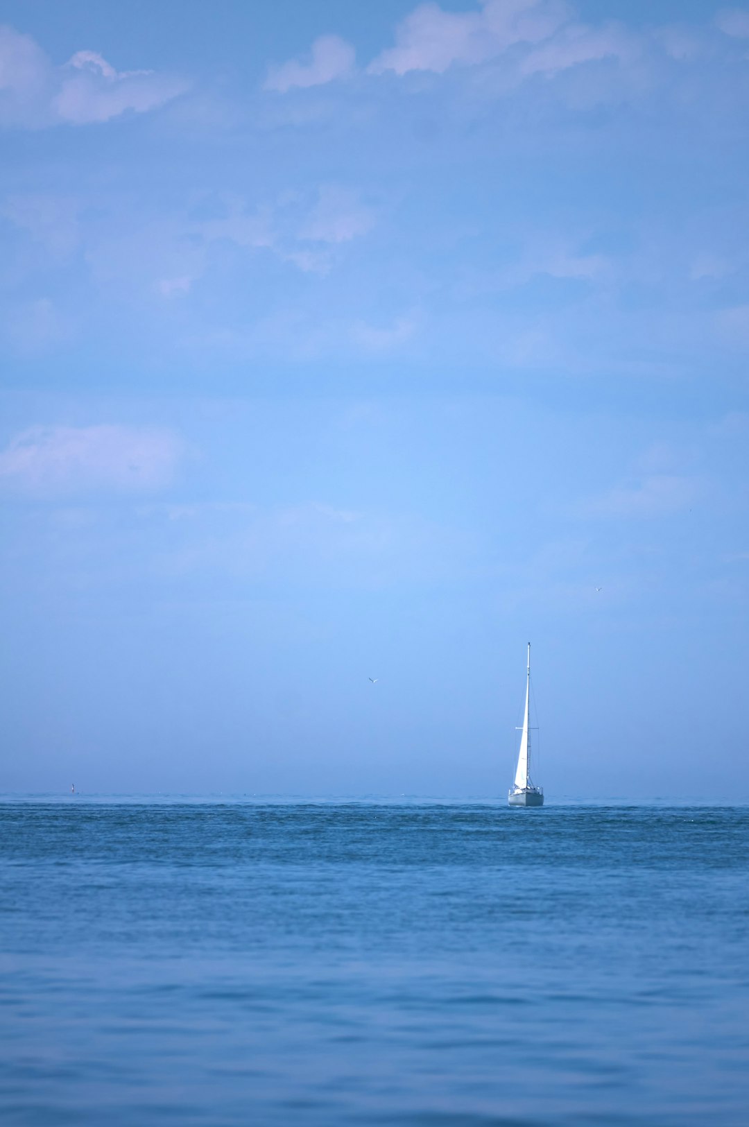 white sailboat on sea under blue sky during daytime