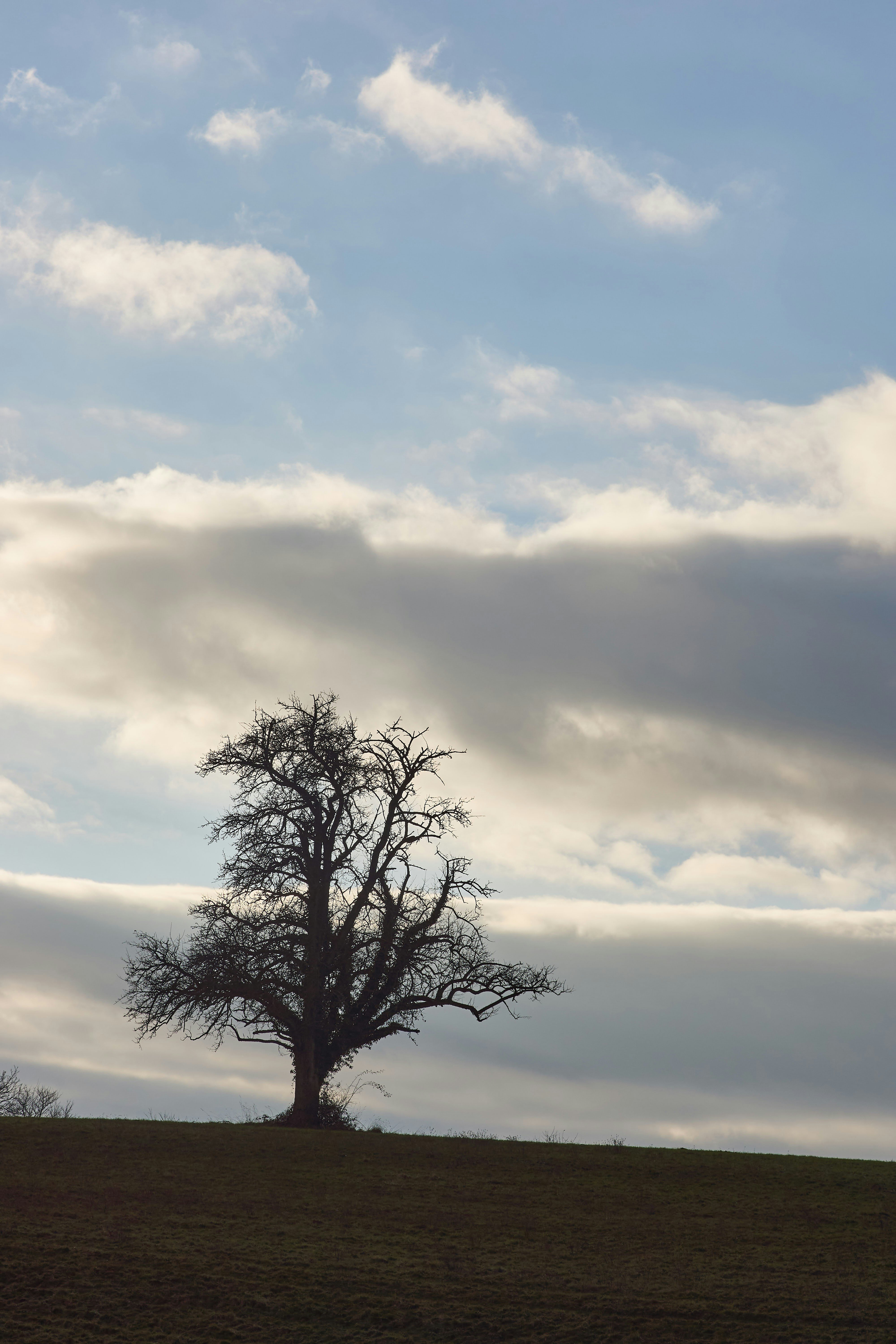 Photo by wolfgang_hasselmann