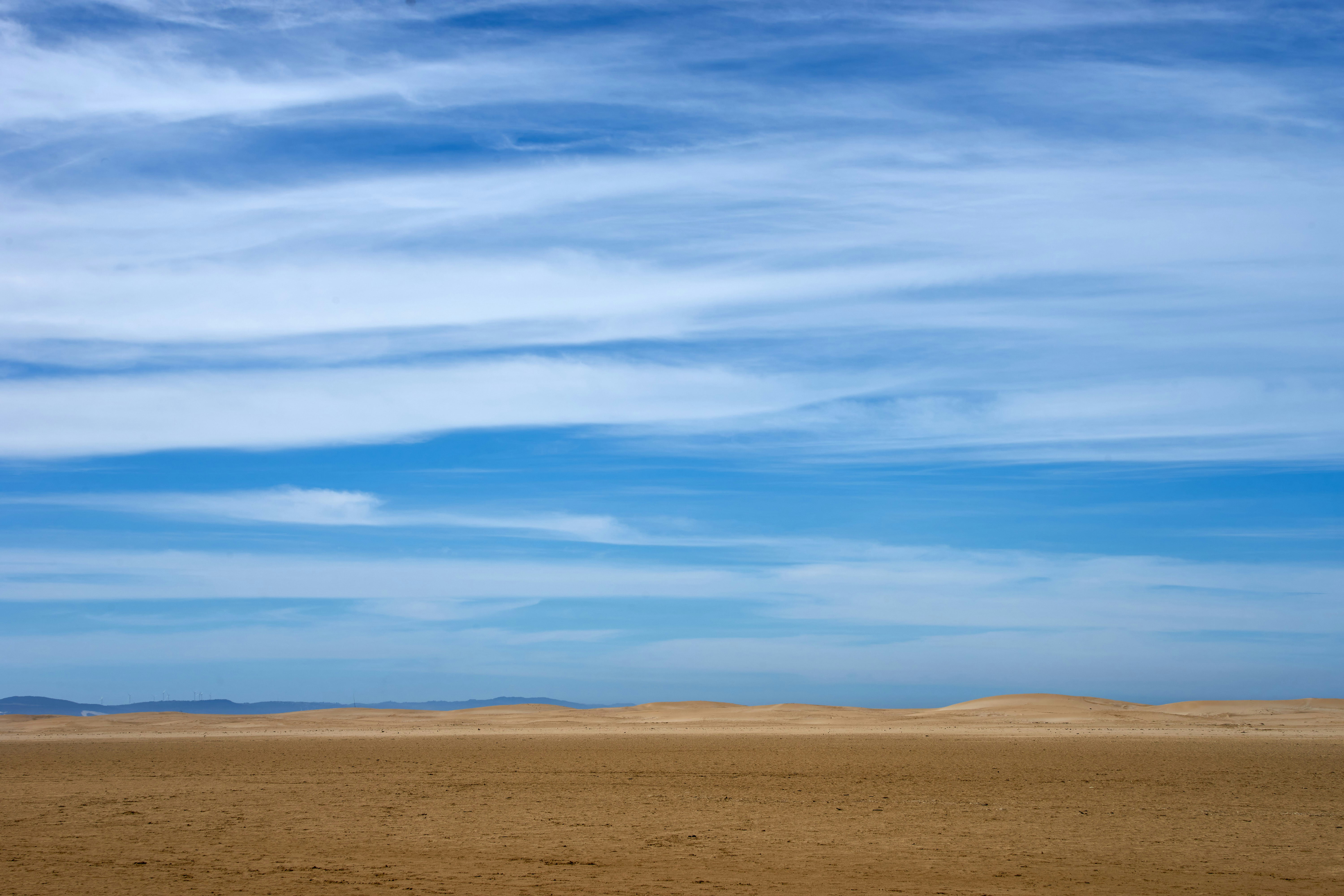 Photo by wolfgang_hasselmann