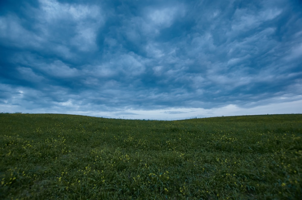 昼間の青空と白い雲の下に緑の芝生
