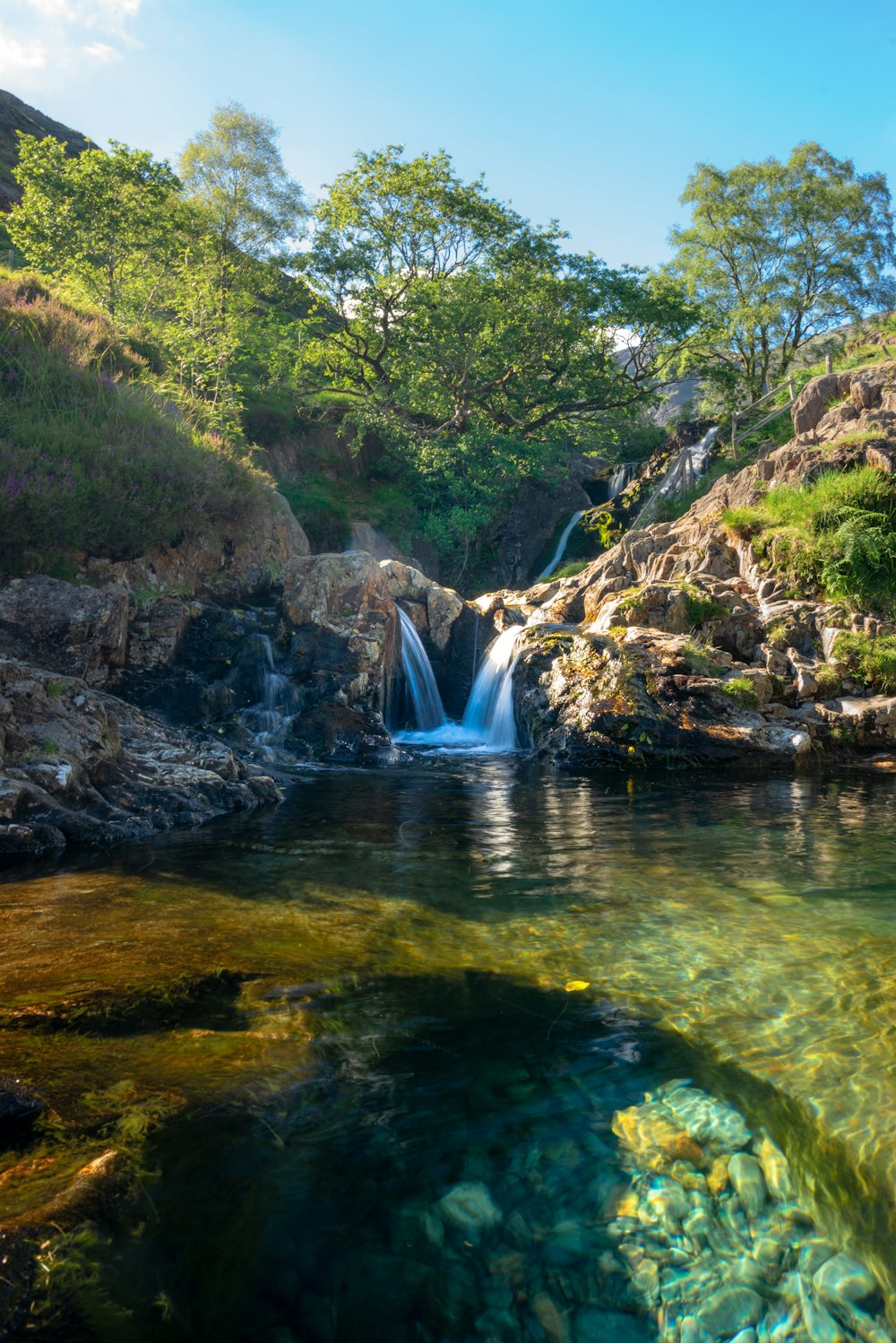 waterfalls in the middle of the forest