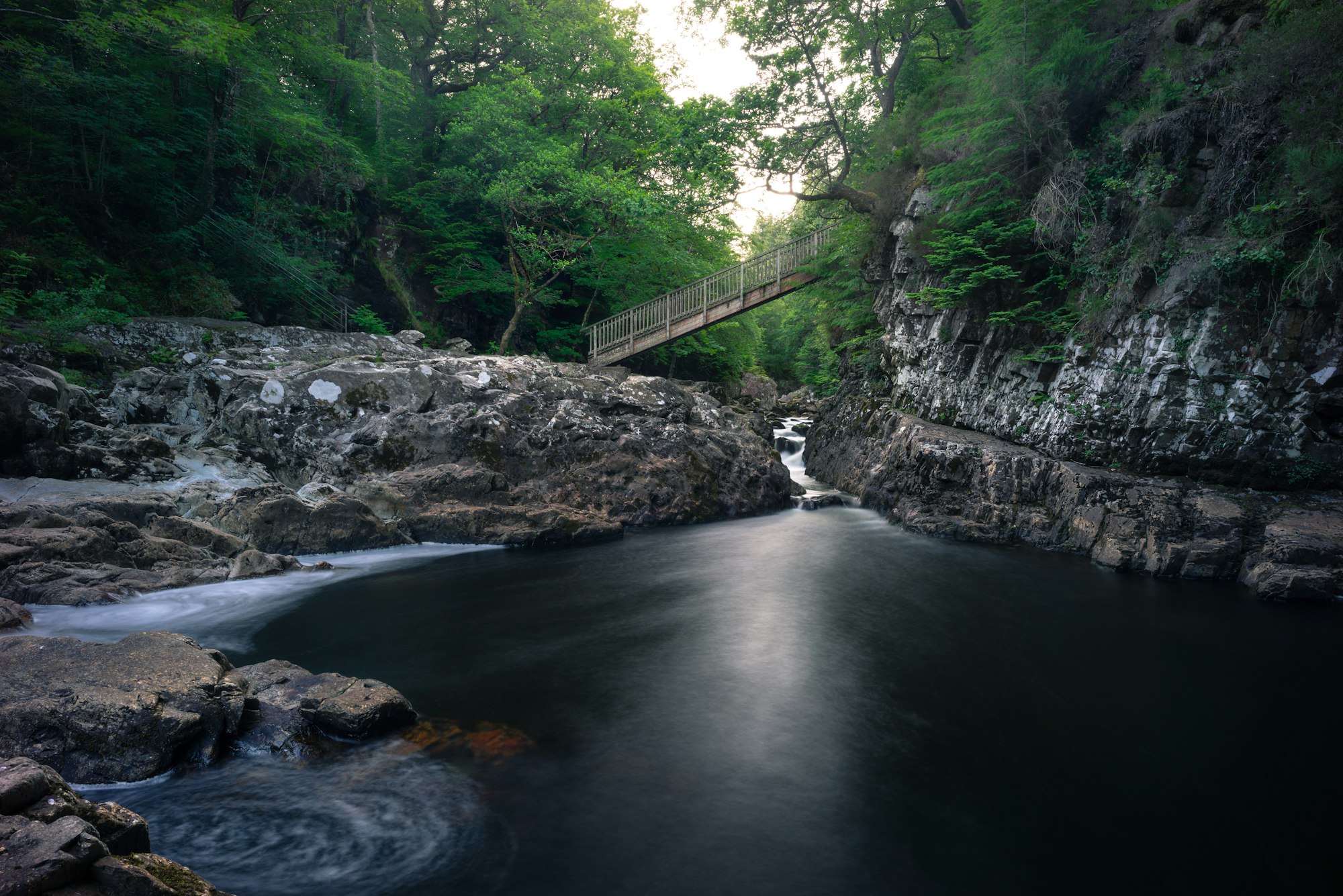 river in the middle of the forest