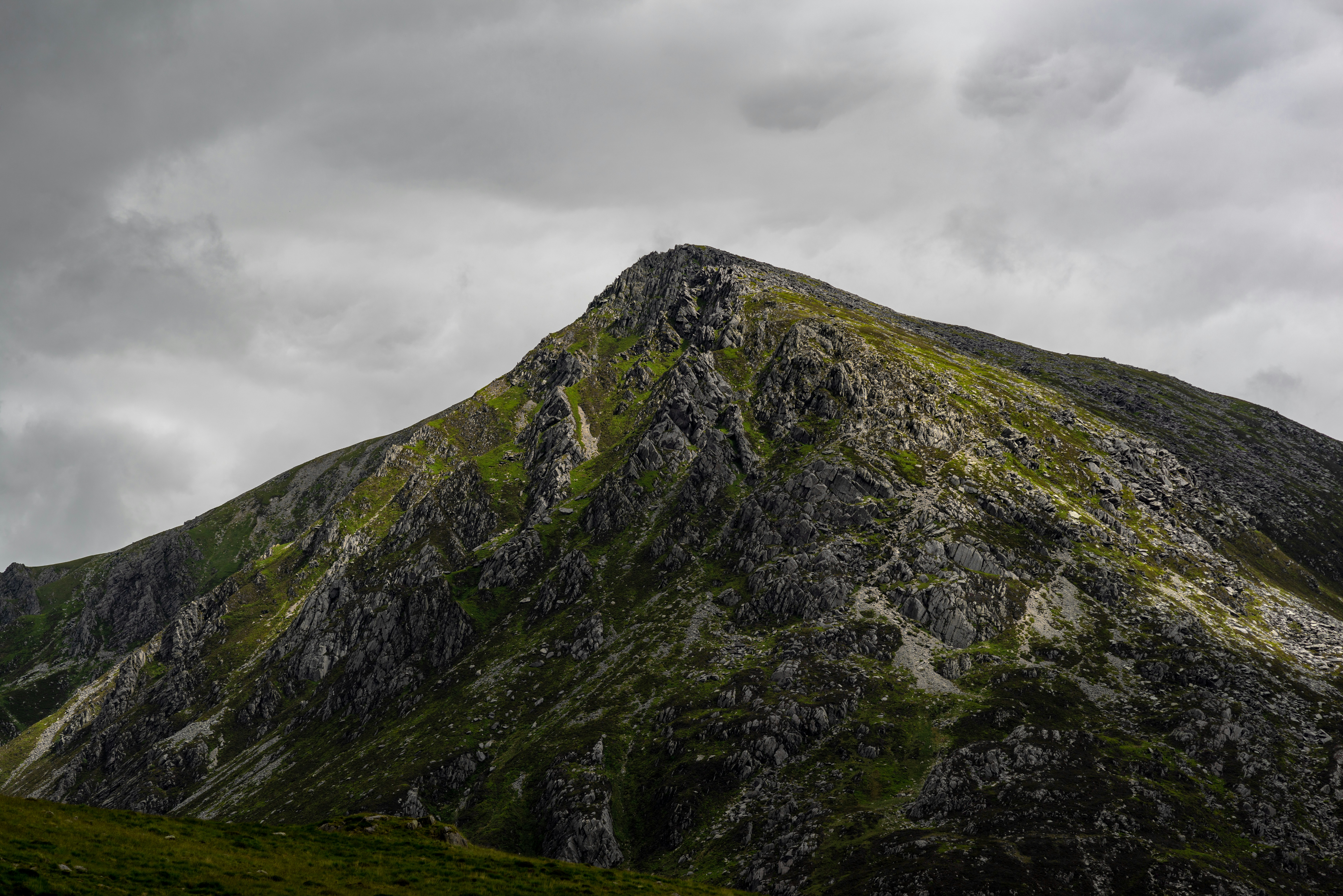 Photo by danielsessler