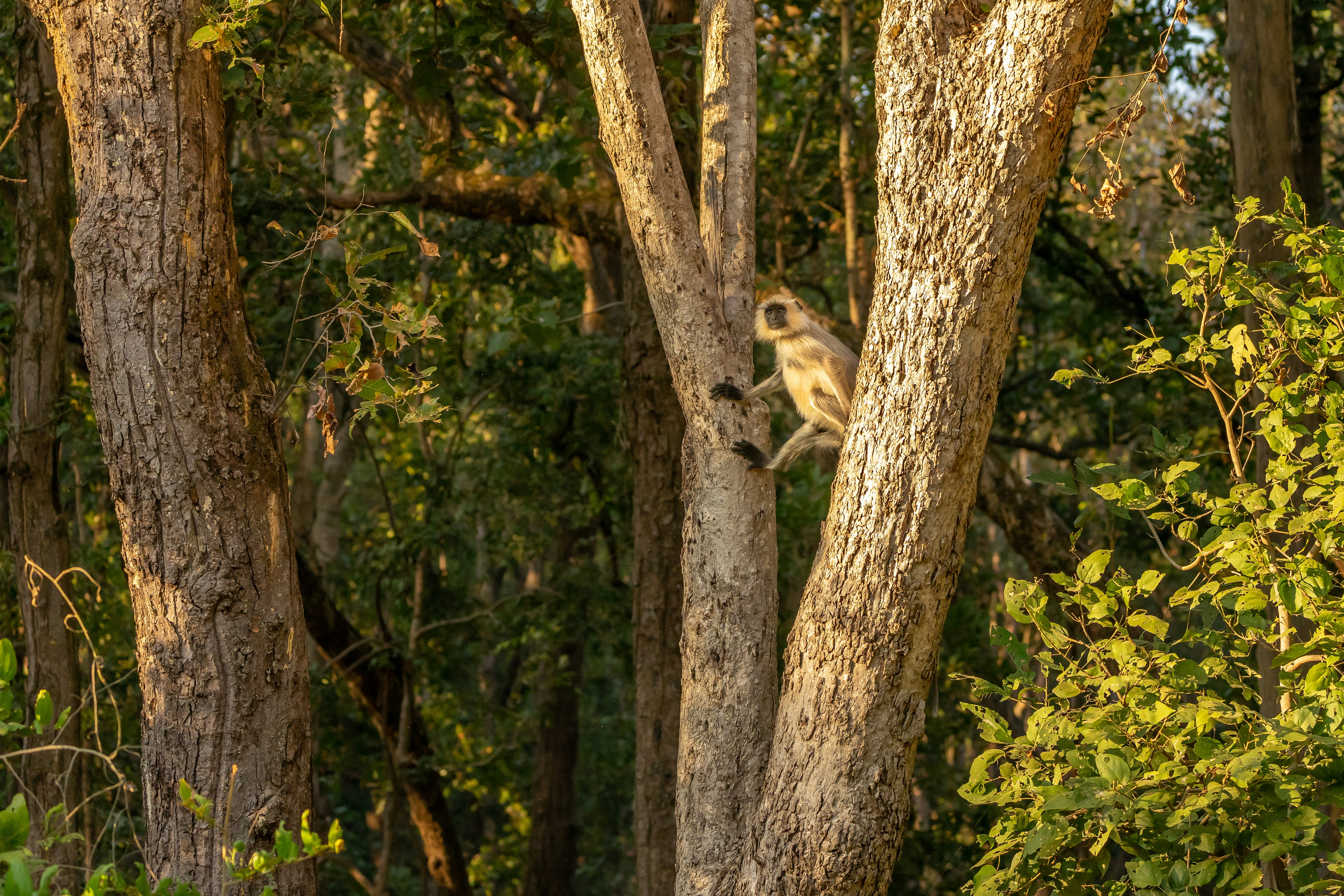 Photo by hansjurgen007