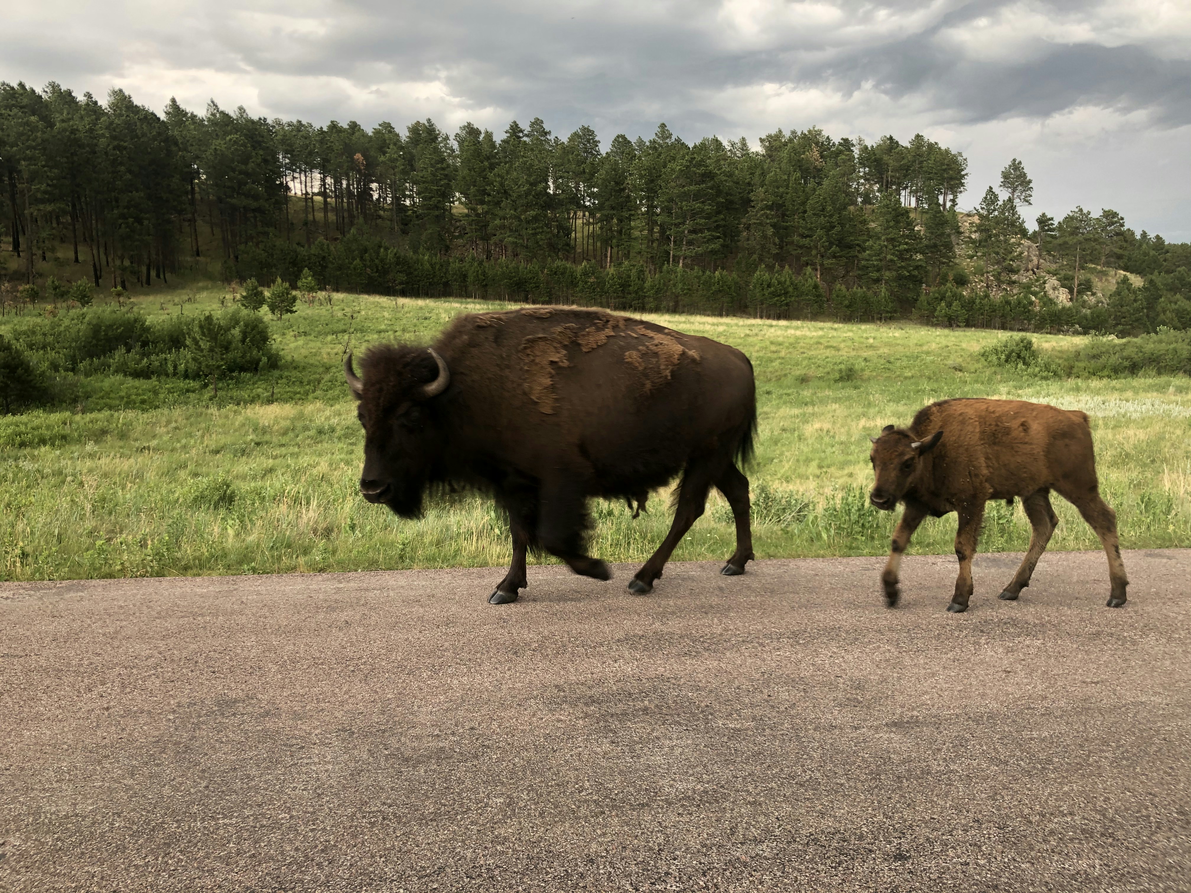 South Dakota State Parks