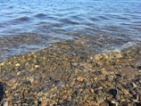 Clear water gently ripples over a rocky shoreline with stones visible beneath the surface, extending into a vast body of water under a clear sky.