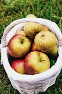 Baskets filled with freshly harvested pears and apples ready for market.