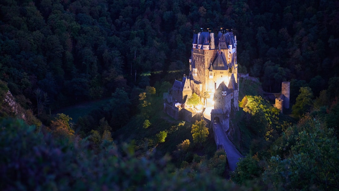 brown concrete castle in the middle of forest