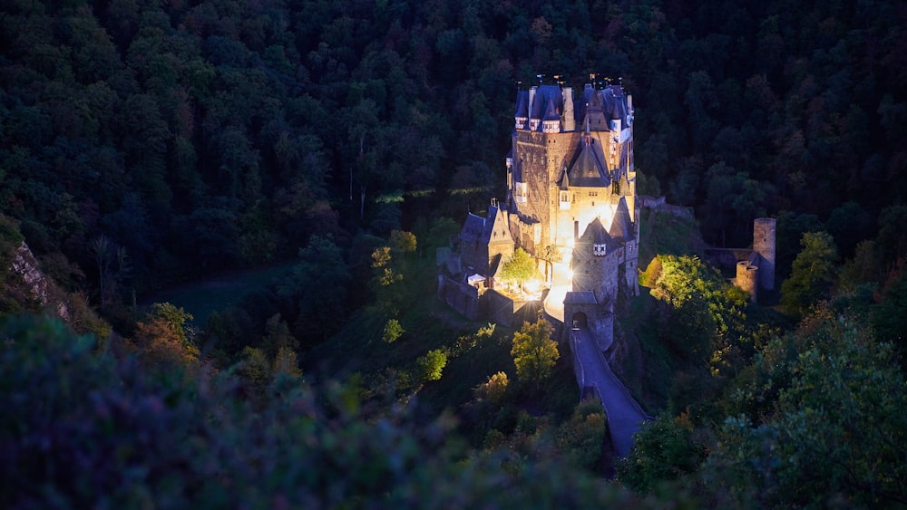 Château en béton brun au milieu de la forêt