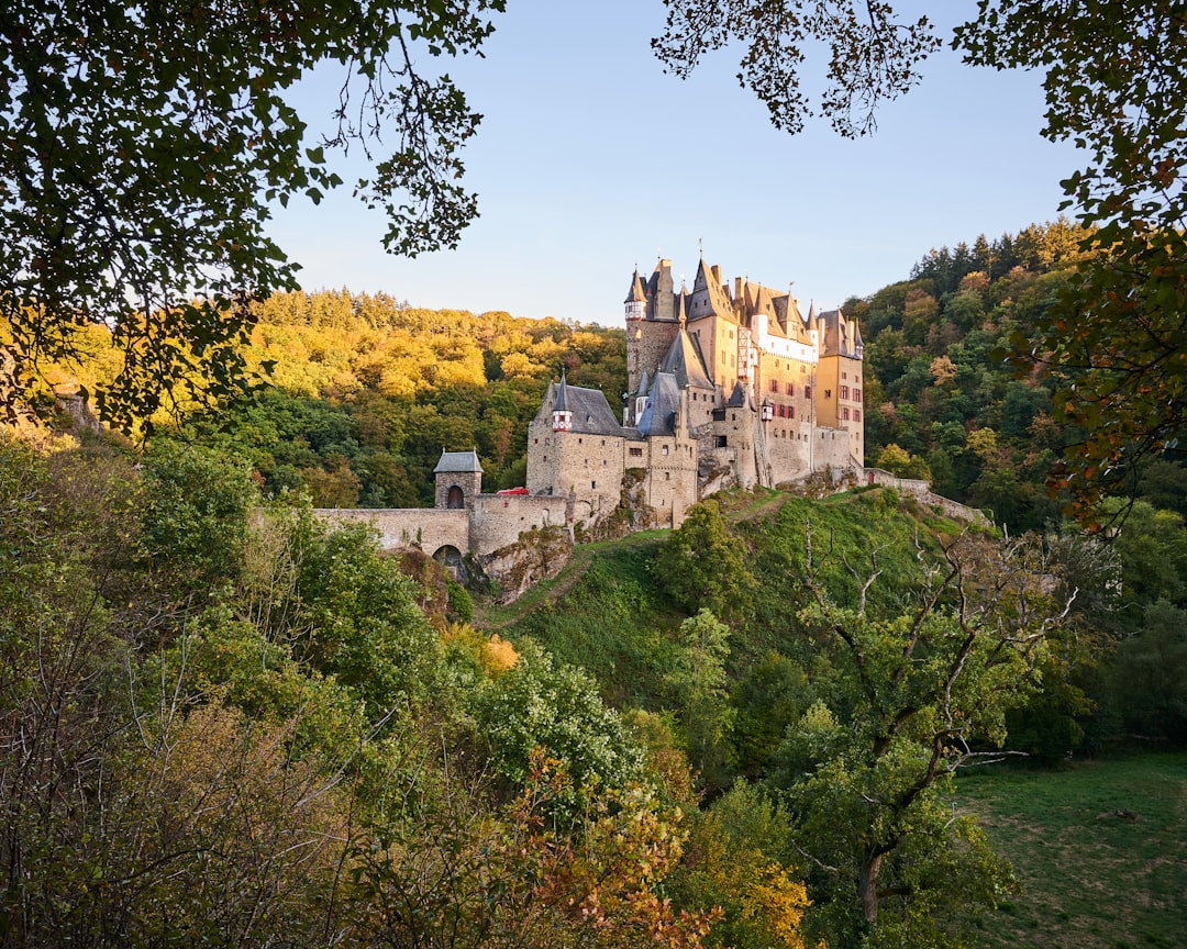 brown concrete castle on top of hill