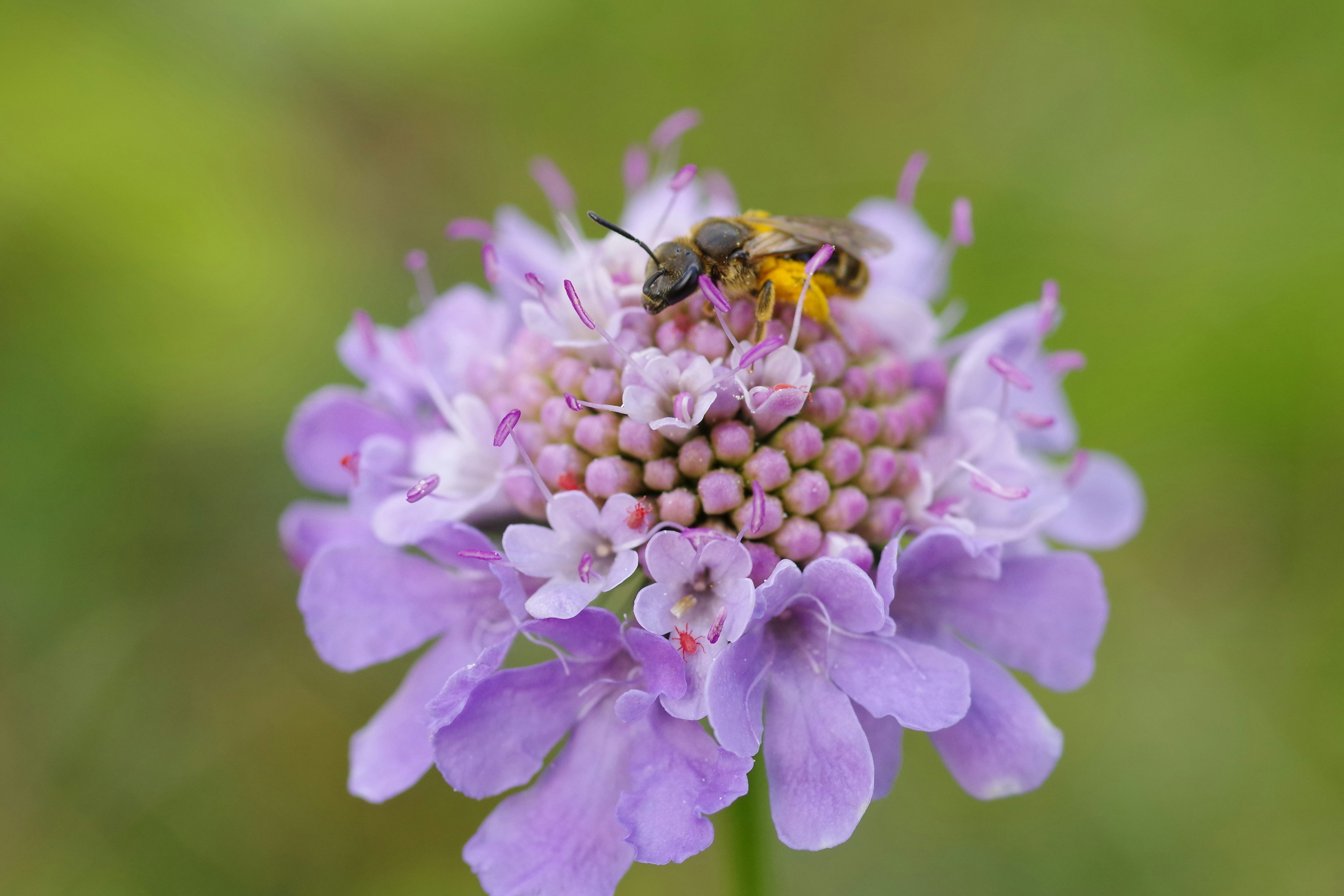 Photo by icimarseille