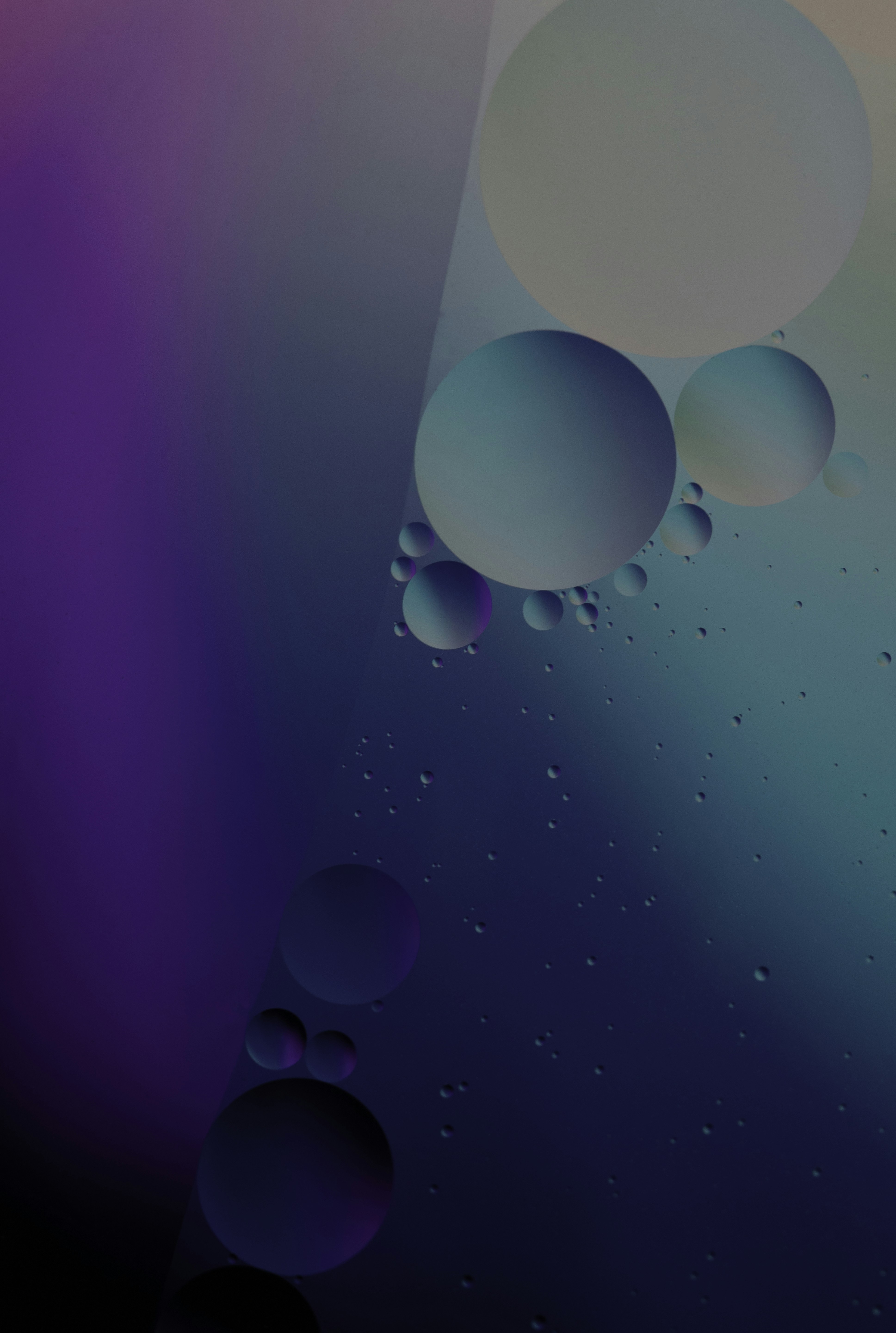 ピンクの背景にピンクと白の風船の写真 Unsplashの無料写真