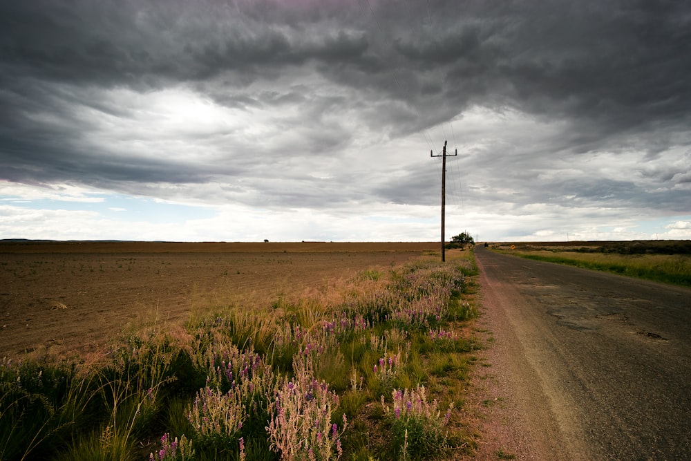 brown dirt road between green grass field under gray clouds