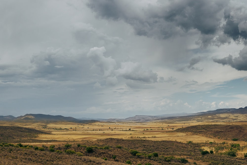 green grass field under white clouds during daytime