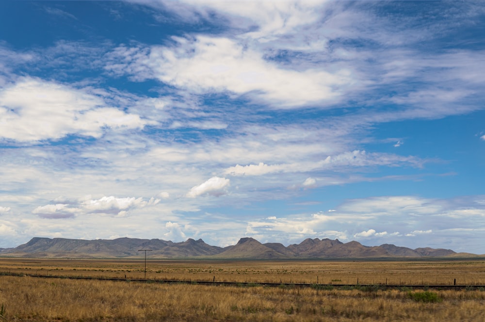 brown grass field under blue sky during daytime