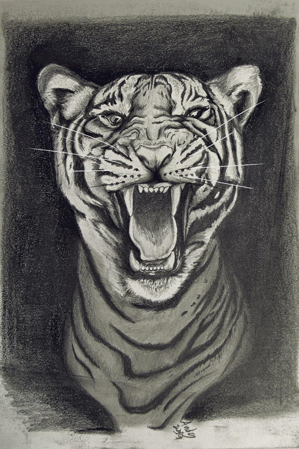 Weiße und schwarze Tigermalerei