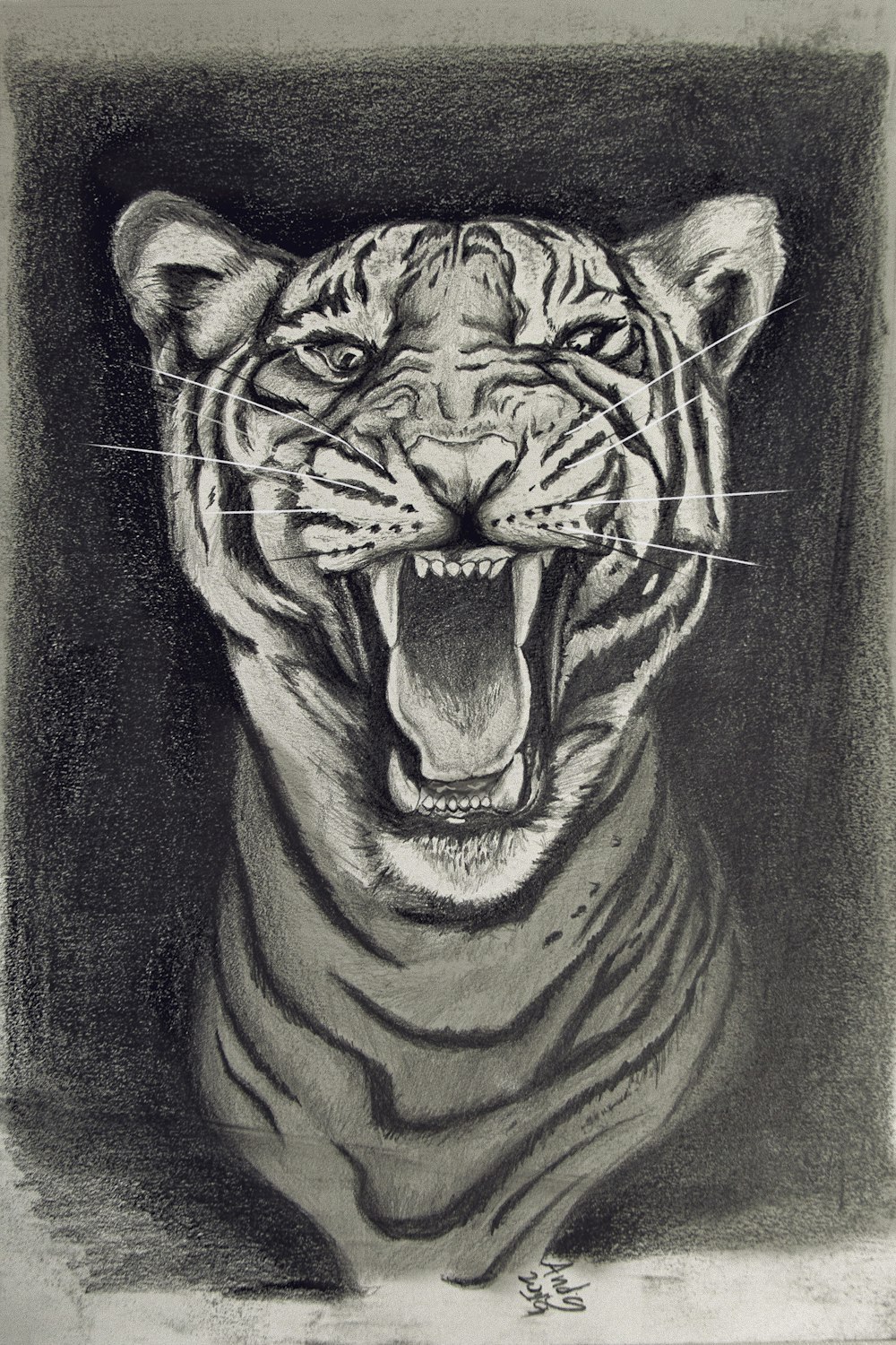 Peinture tigre blanc et noir