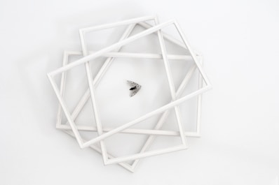black bug on white wooden frame