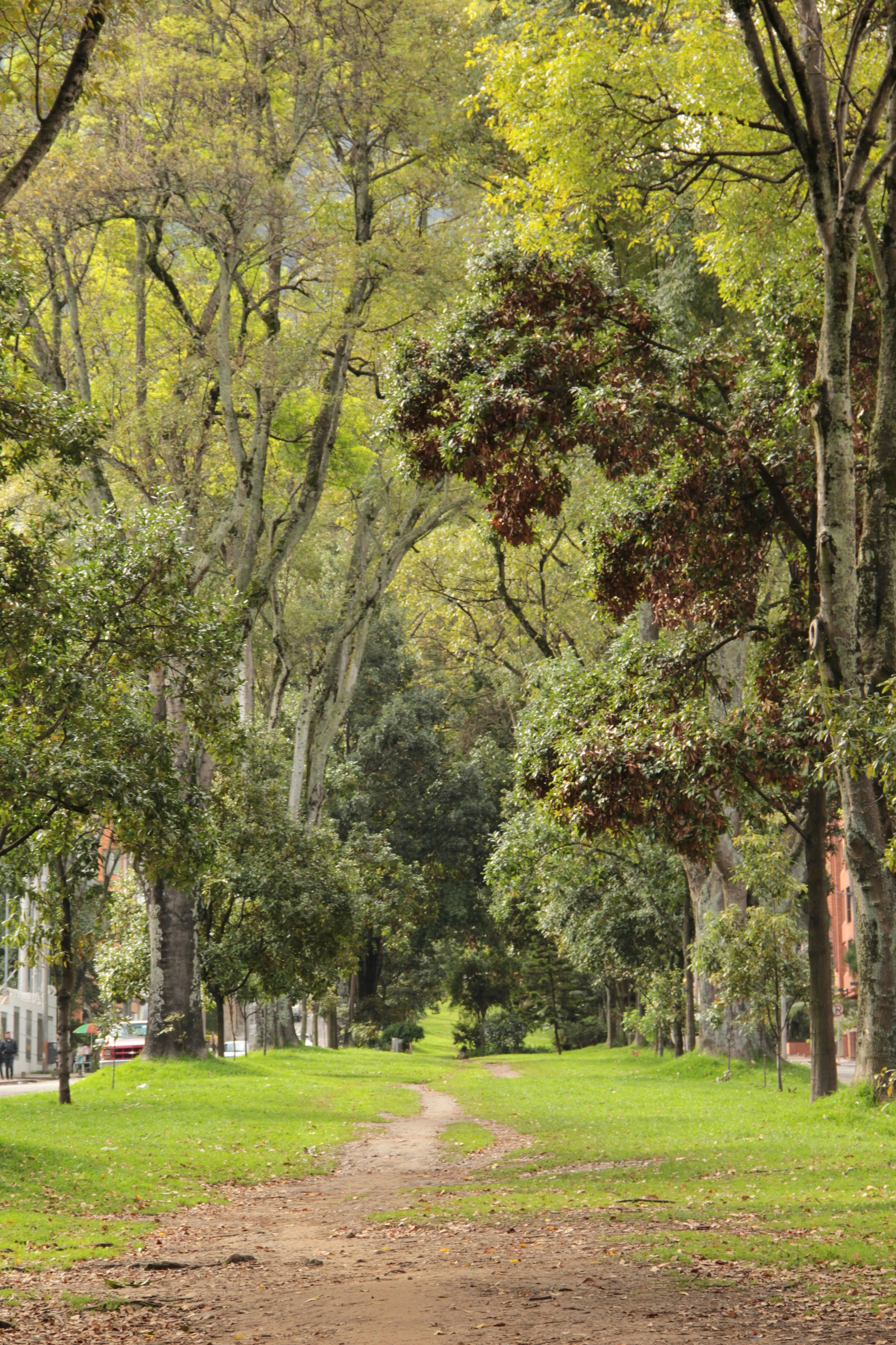 Photo by andresloquesea