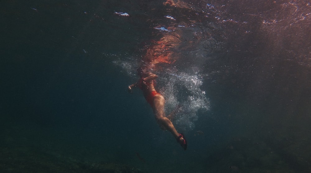 femme en bikini bleu nageant dans l’eau