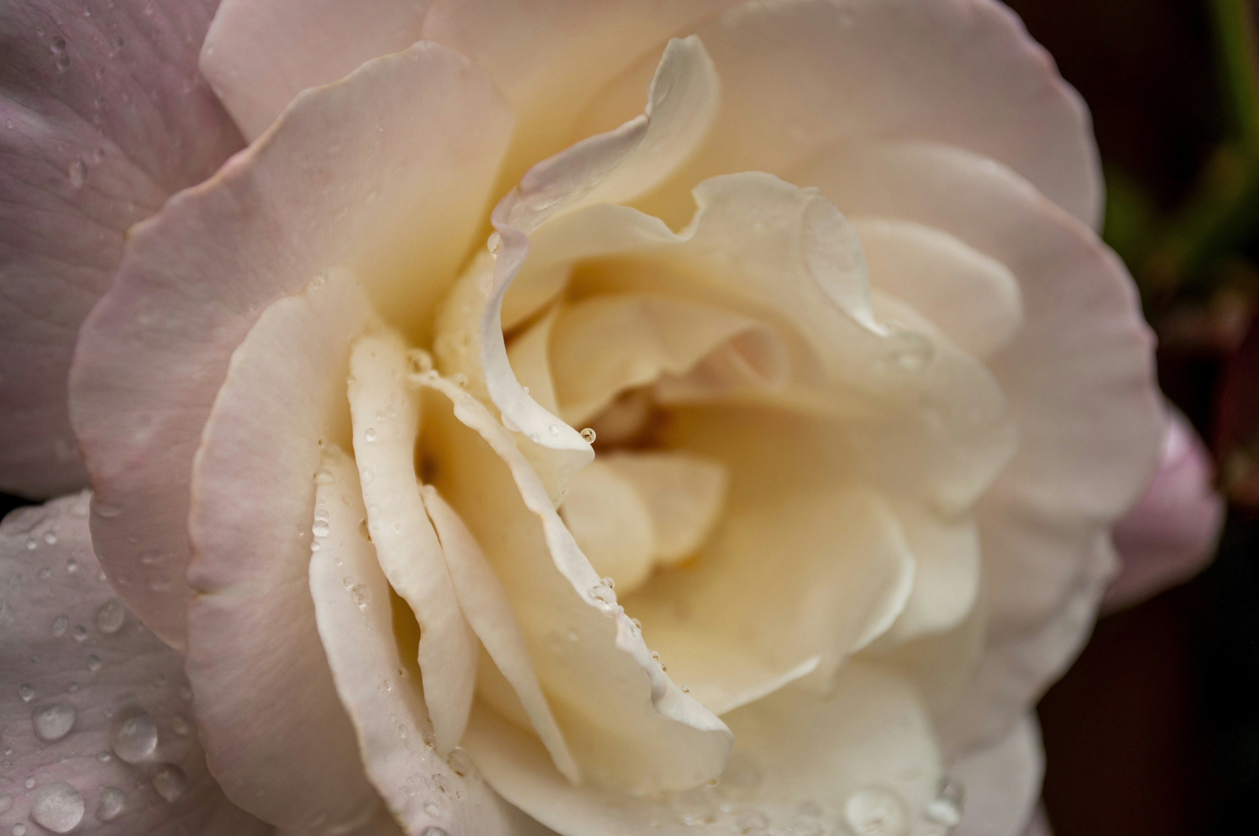 Photo by ben_vaughn_189