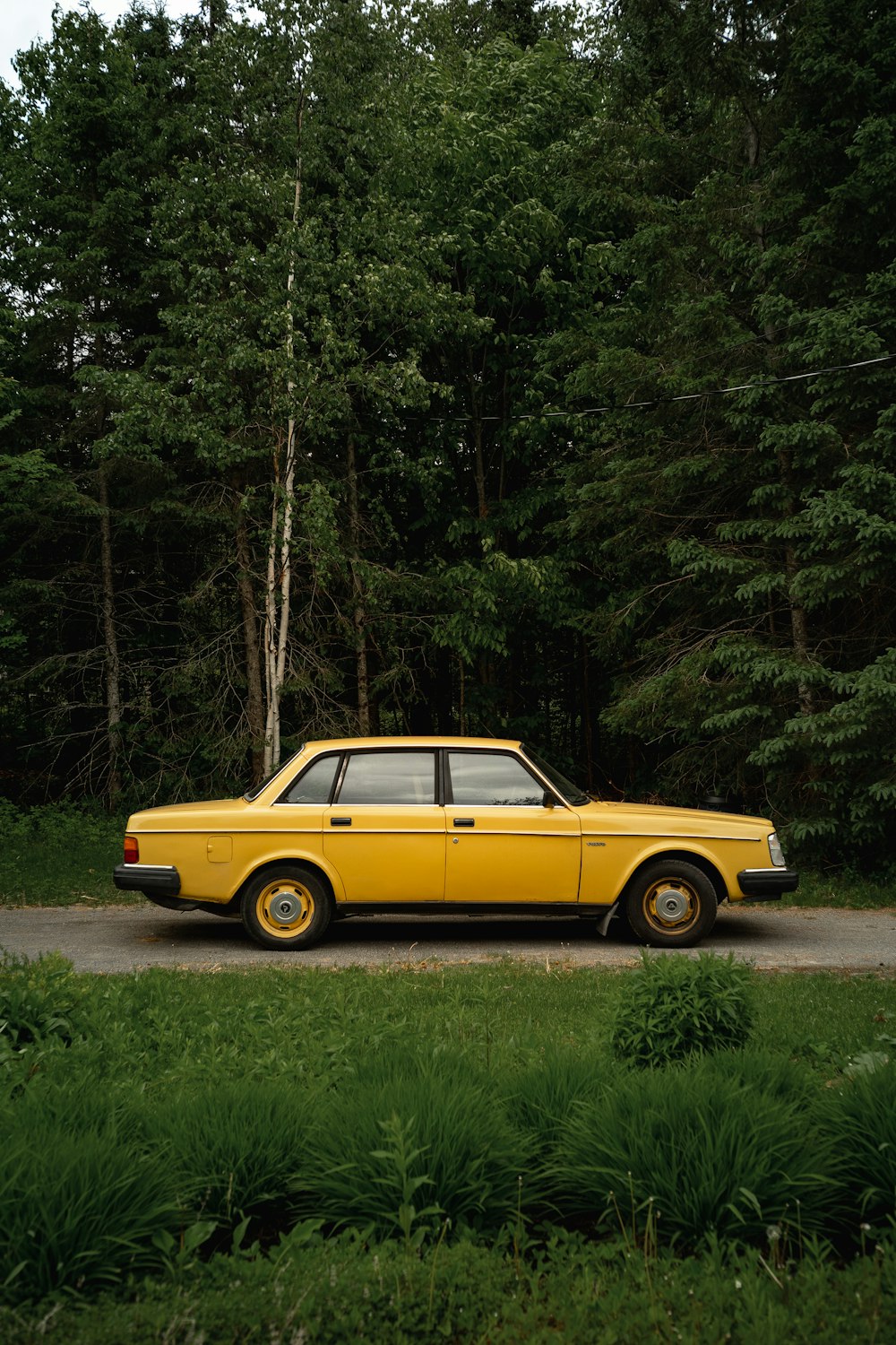 berlina gialla e nera sulla foresta durante il giorno