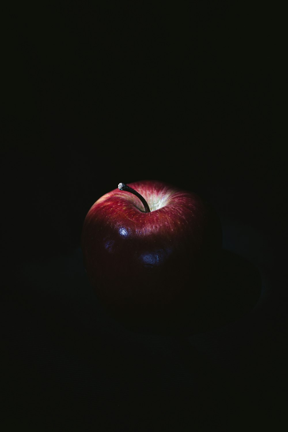 Red Apple Pictures  Download Free Images on Unsplash