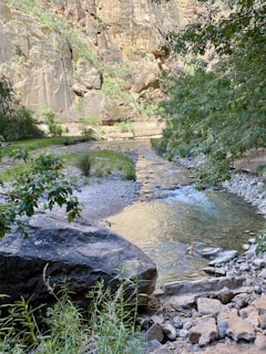 A calm river flowing through a vibrant landscape, reflecting balance and natural wealth.