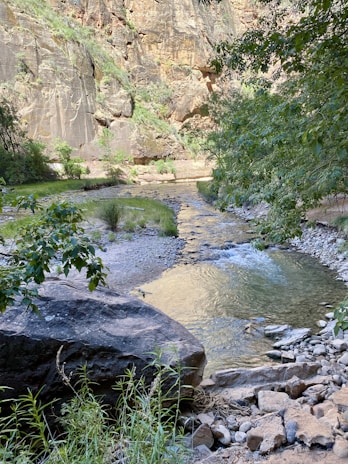 A calm river flowing through a vibrant landscape, reflecting balance and natural wealth.