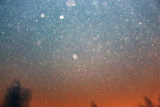 The image contains a variety of indistinct spots or particles, possibly dust or water droplets, scattered across a background transitioning from blue at the top to orange at the bottom. The lower part of the image includes several dark, blurry shapes, potentially trees, seen in silhouette.