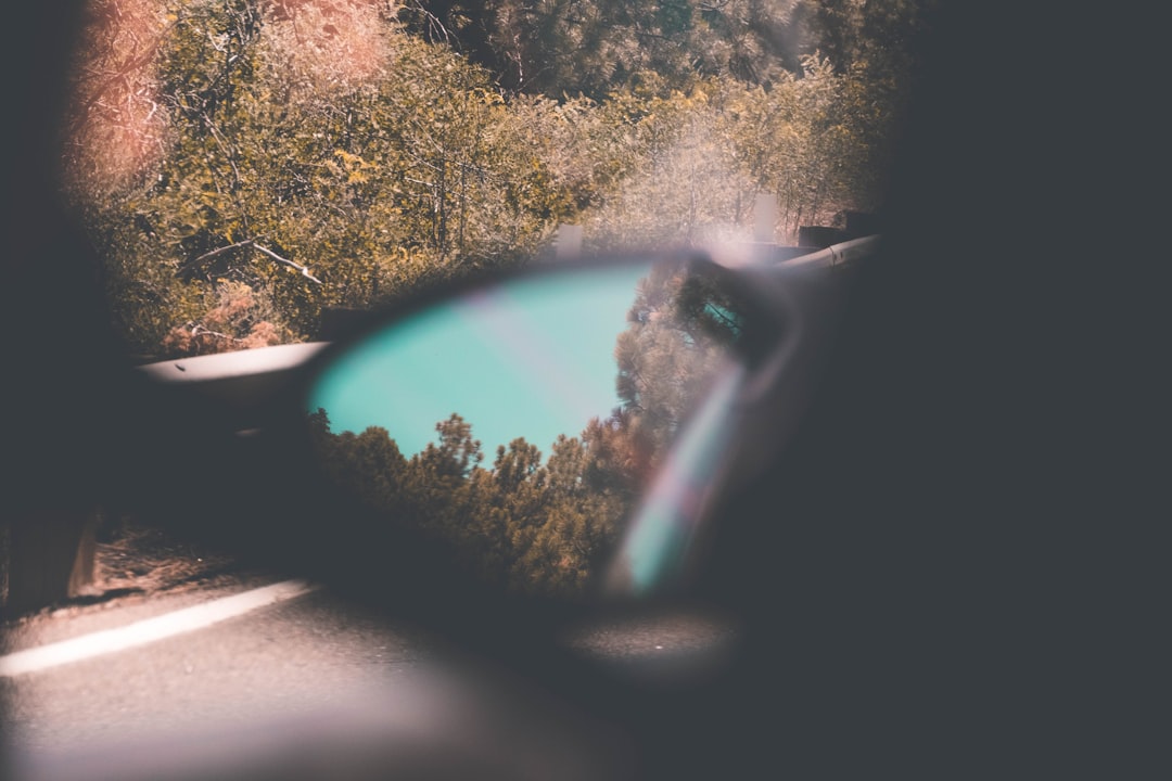 black framed sunglasses on car window