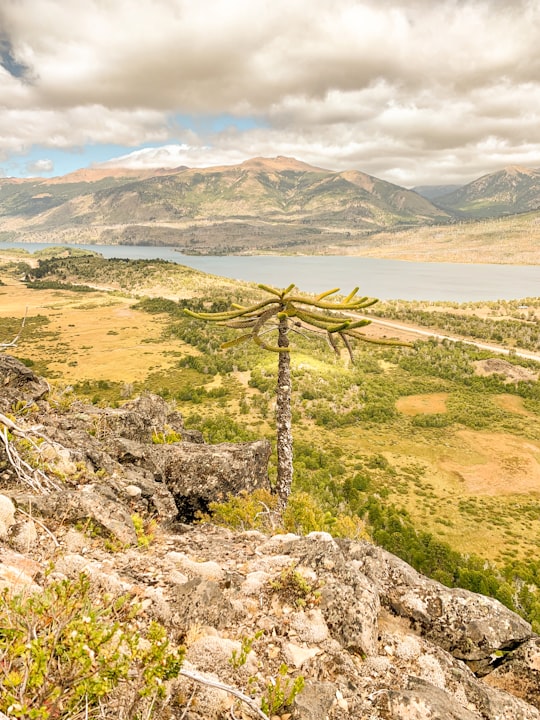 brown wooden cross on gray rock near body of water during daytime in Ñorquinco Argentina