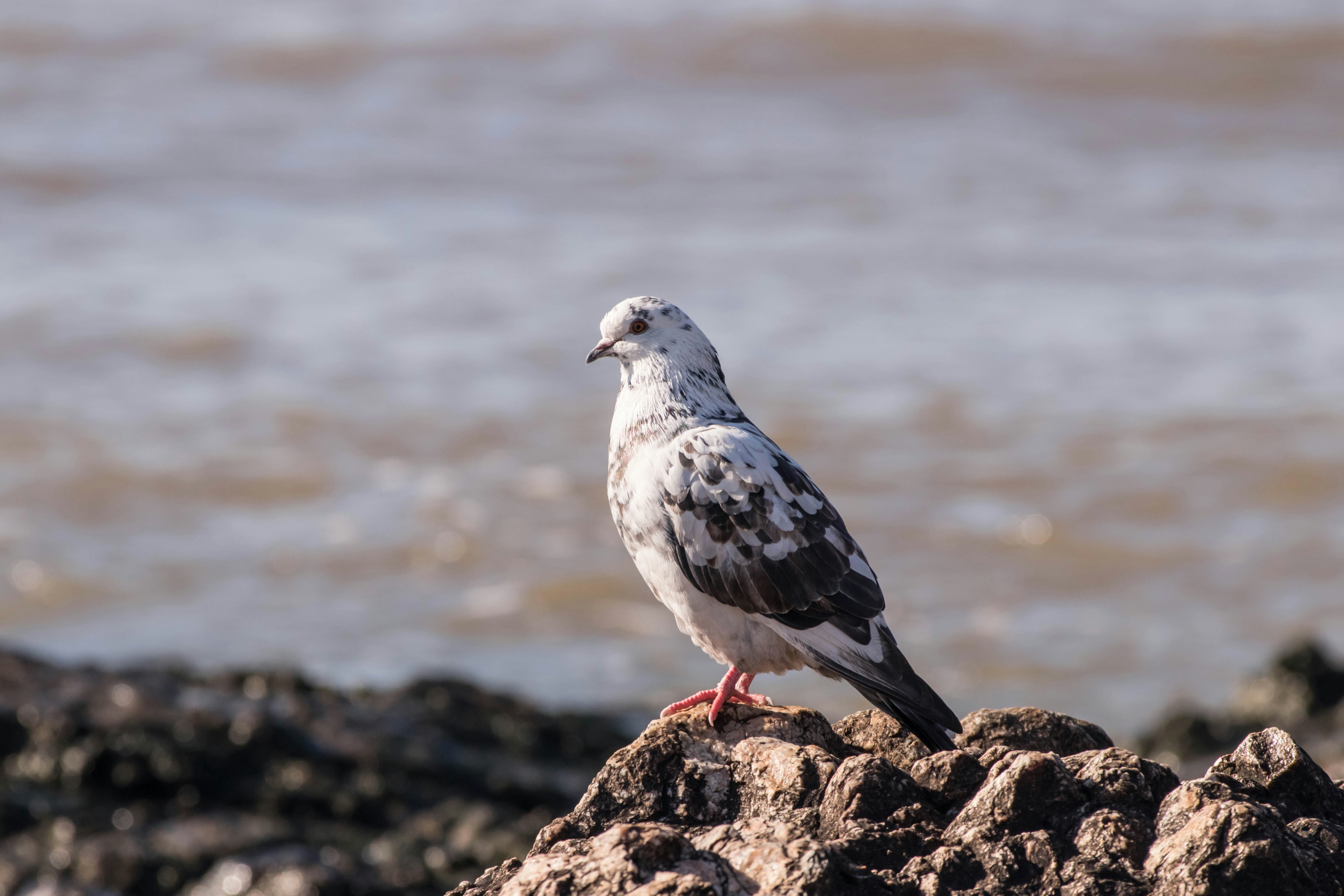 Photo by sonianadales