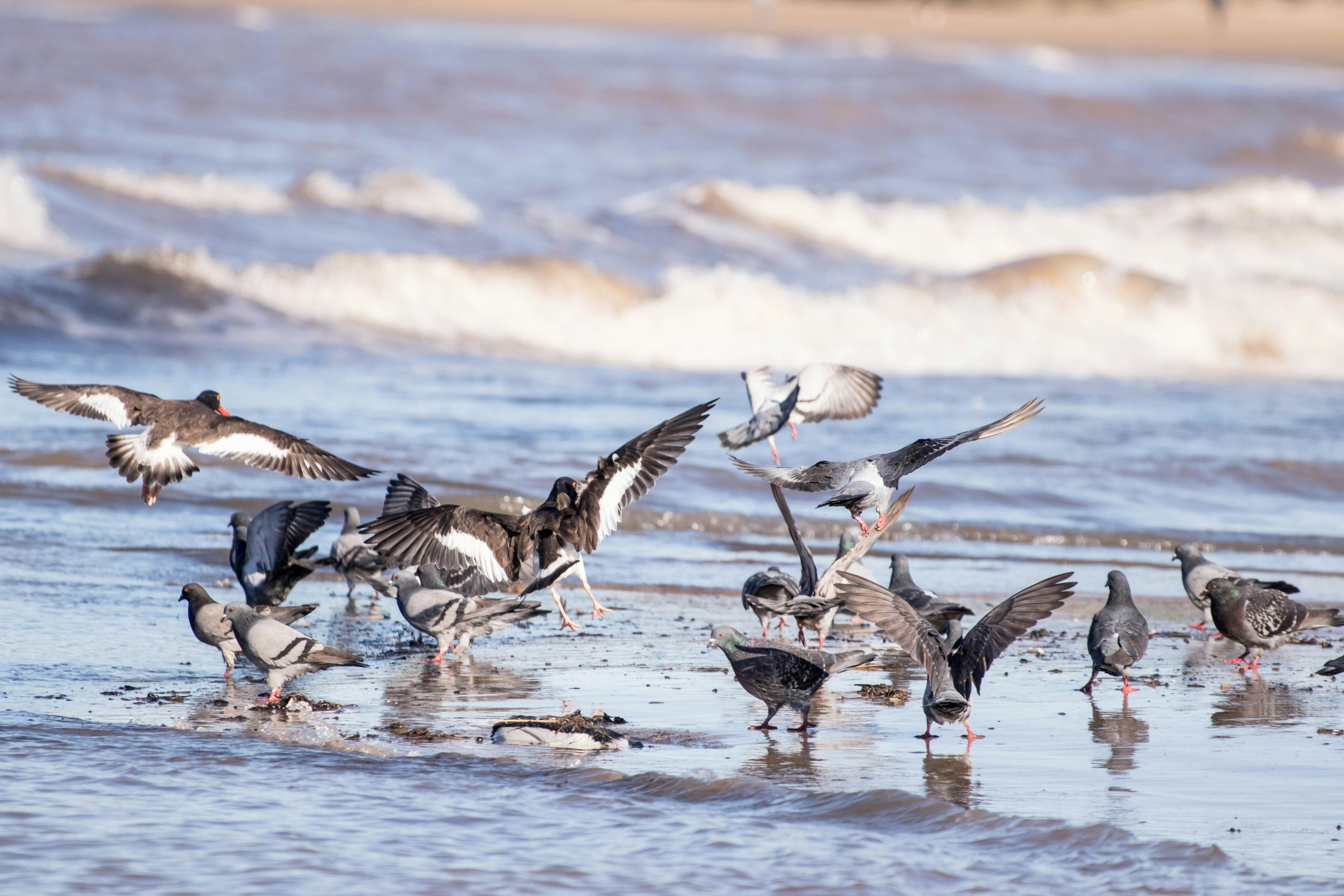 Photo by sonianadales