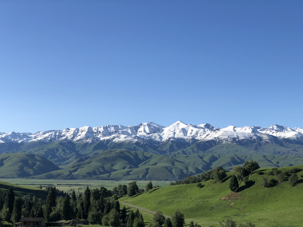 green trees and mountains under blue sky during daytime