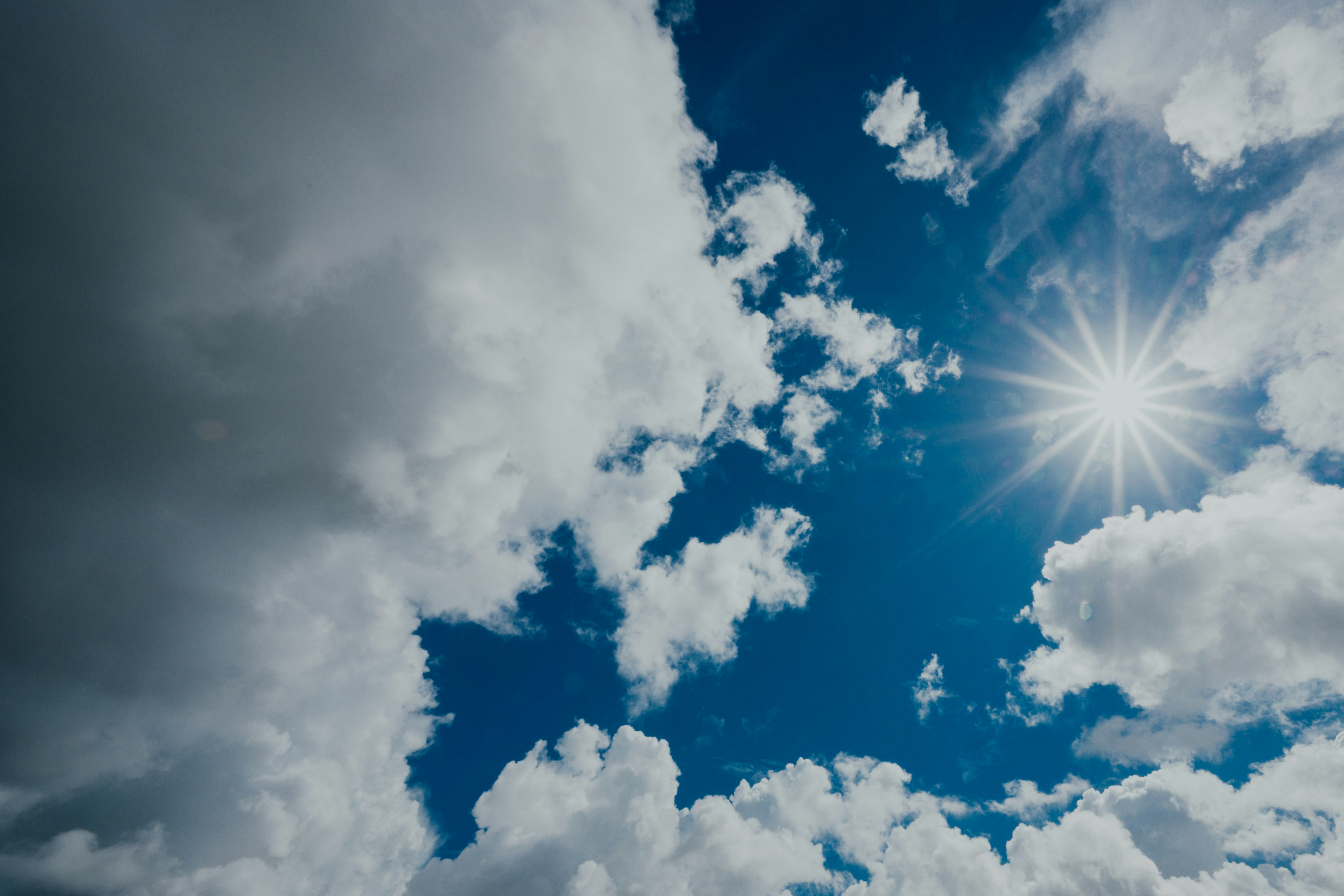 Photo by chuttersnap