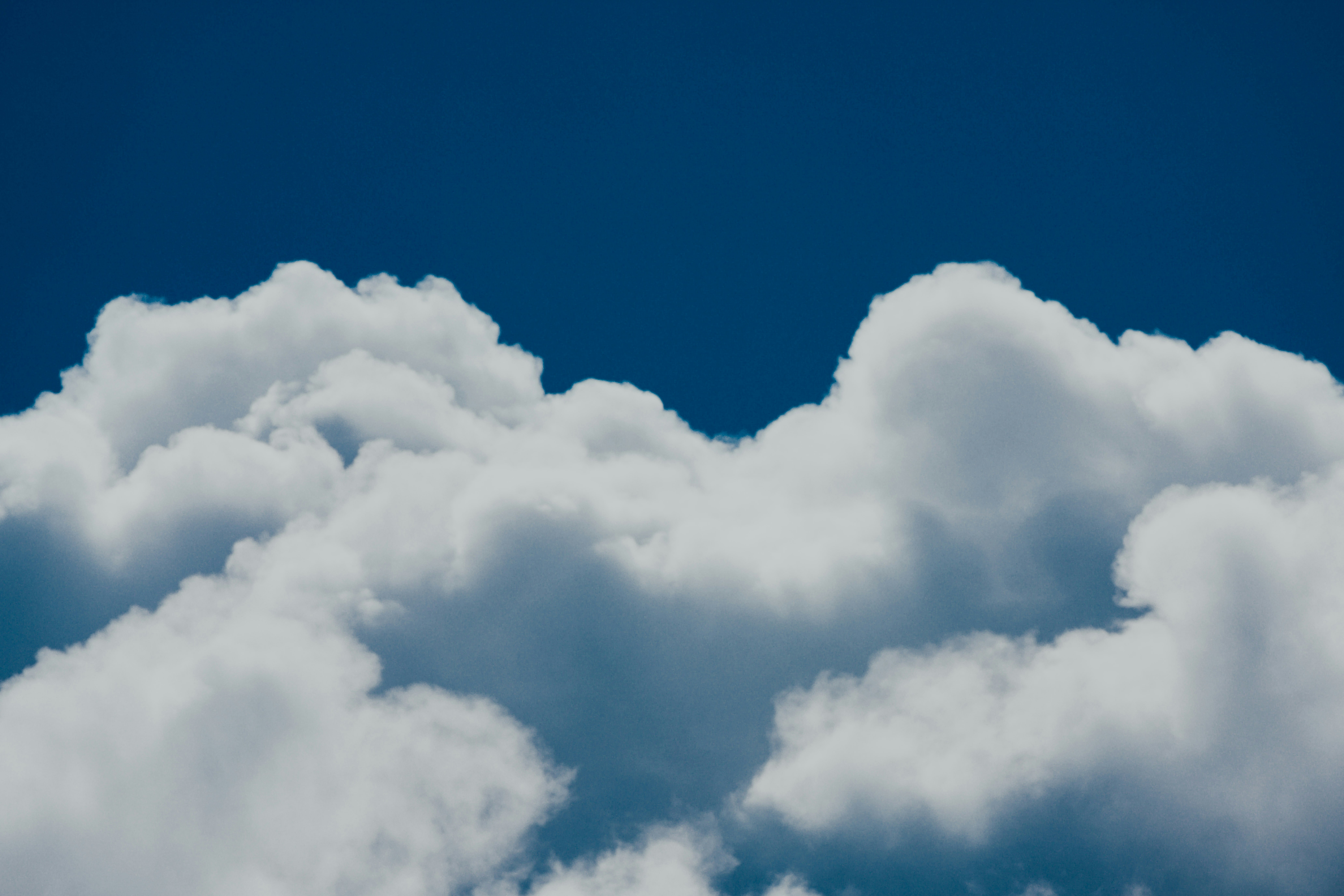 Photo by chuttersnap