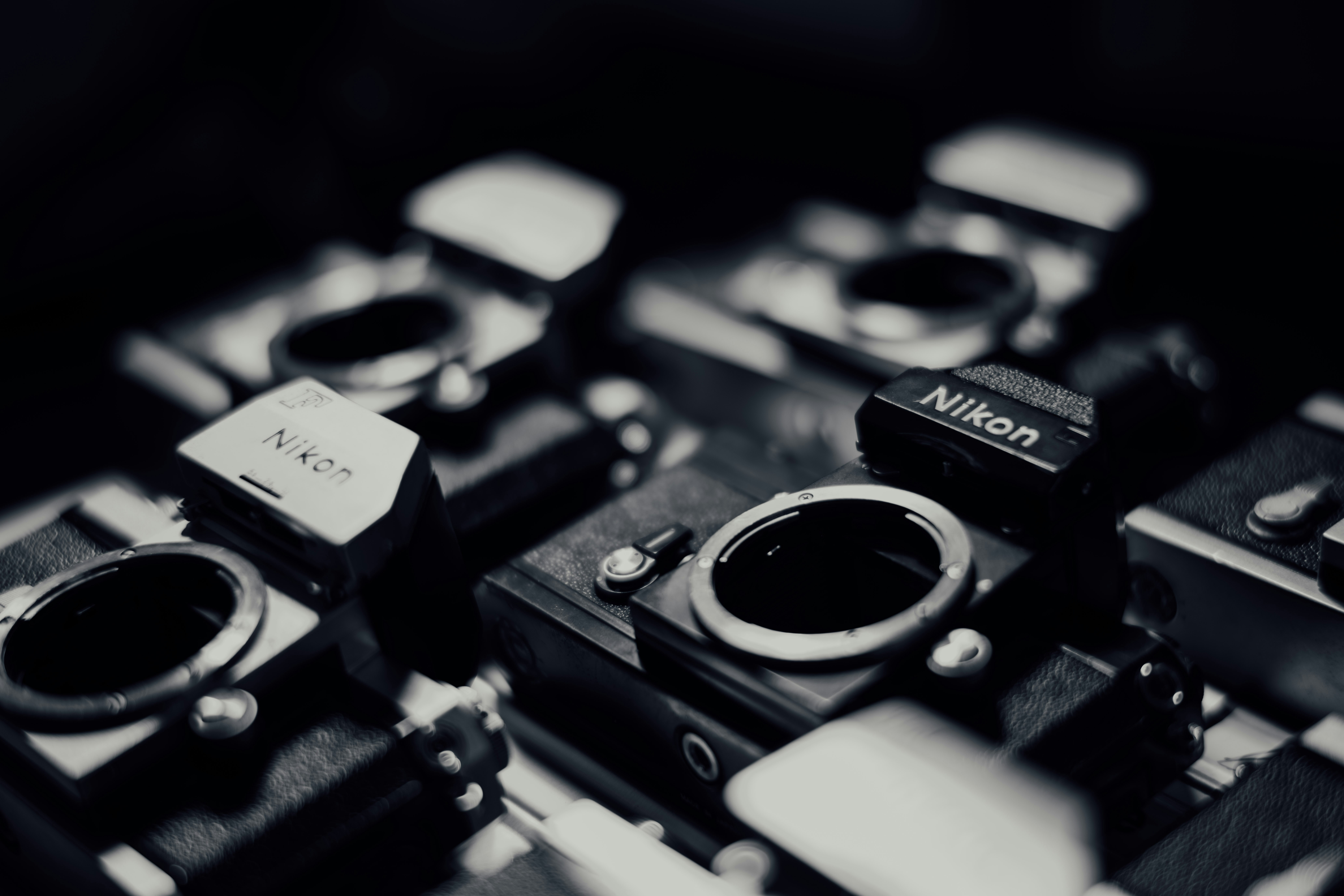 Photo by chuttersnap