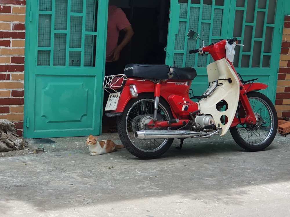 red and black motorcycle parked beside blue wooden door