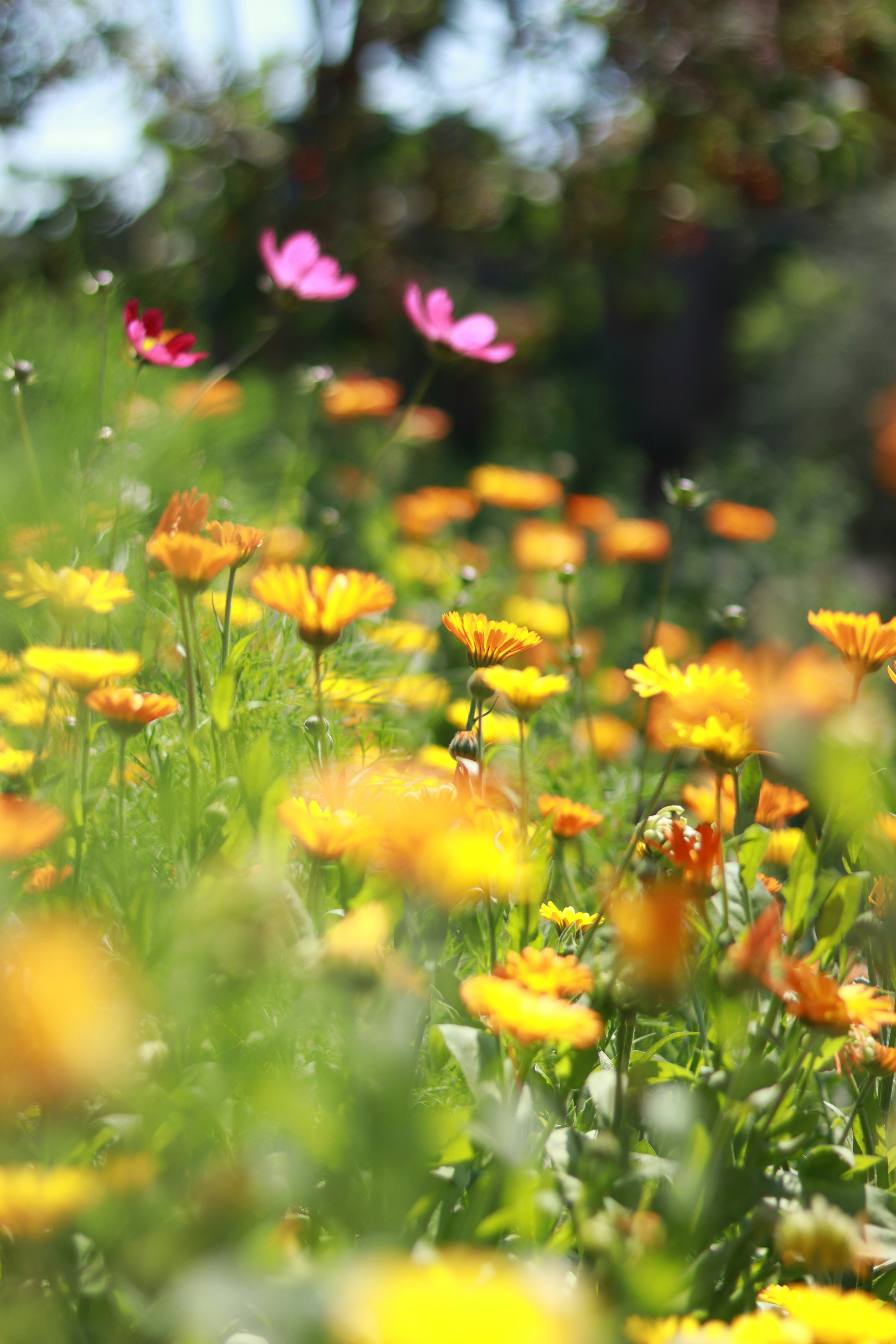 Photo by dreamysoooul