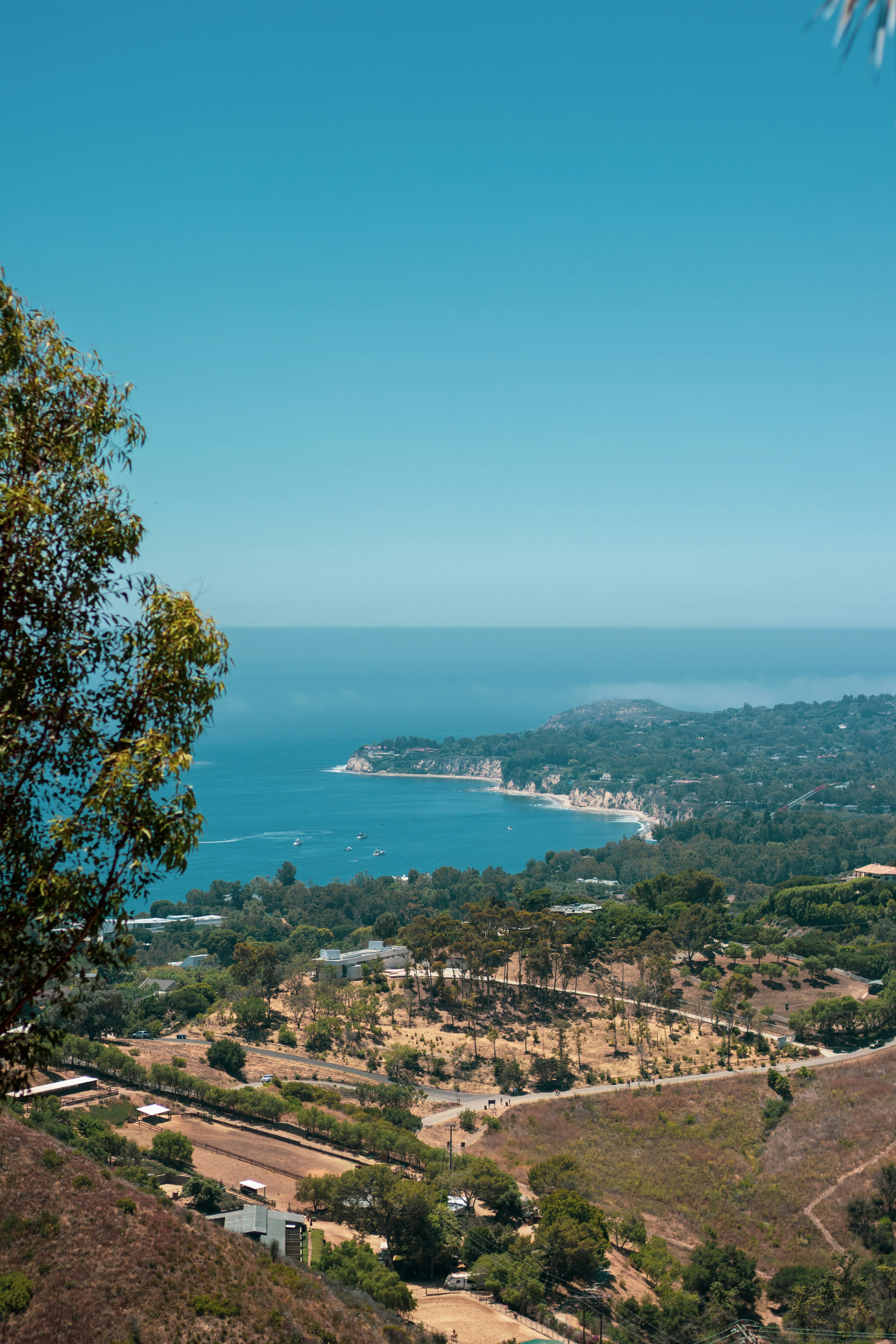 Photo by tyreljohnson