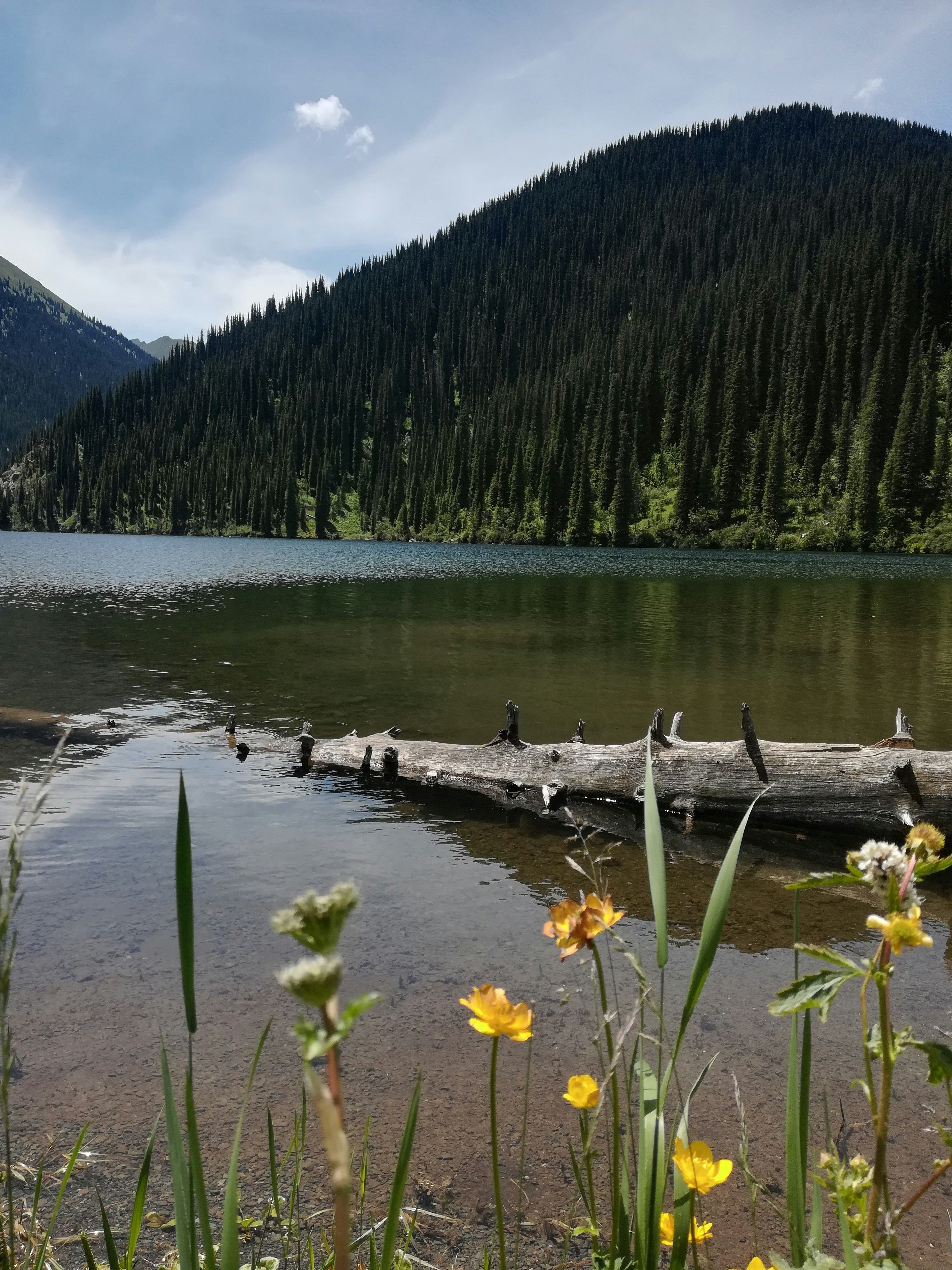 Photo by ava_sombrero