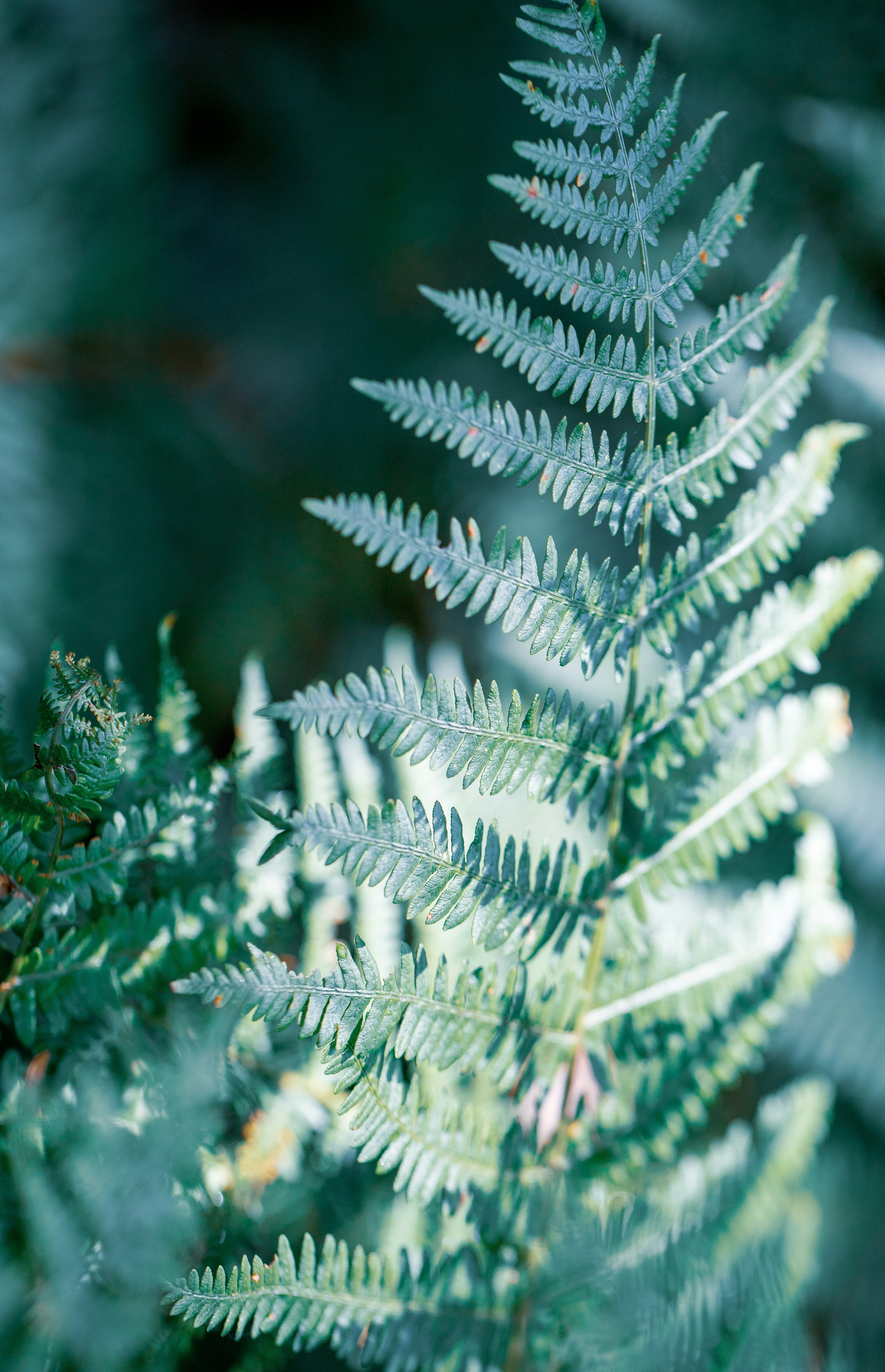 Photo by grievek1610begur