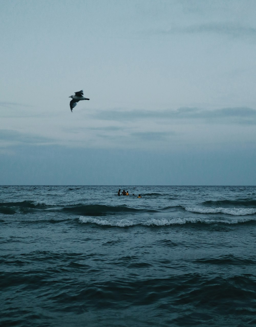 bird flying over the sea during daytime