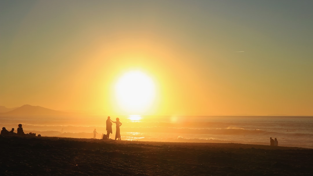silhouette of 2 person standing on seashore during sunset