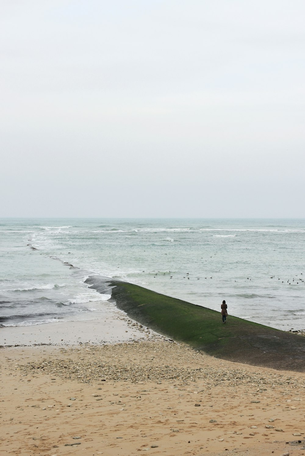 person walking on beach during daytime